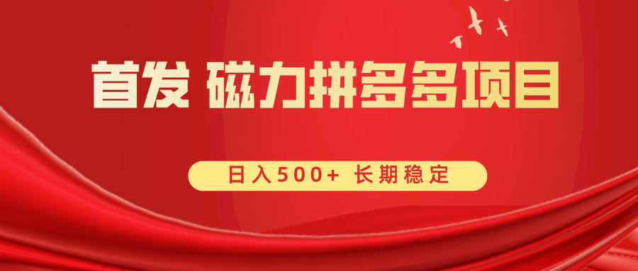 首发 磁力拼多多自撸  日入500+-创客项目库