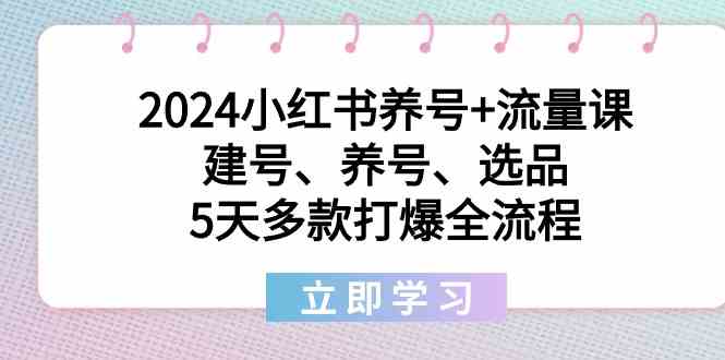 2024小红书养号+流量课：建号、养号、选品，5天多款打爆全流程-创客项目库