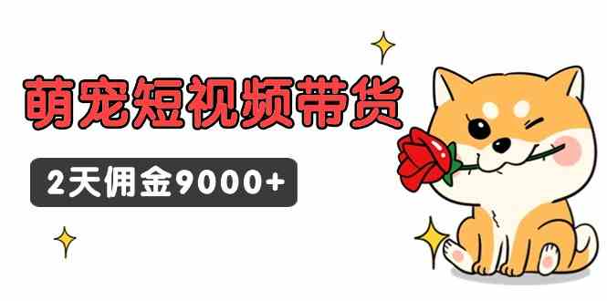 东哲日记·萌宠短视频带货，2天佣金9000+-创客项目库