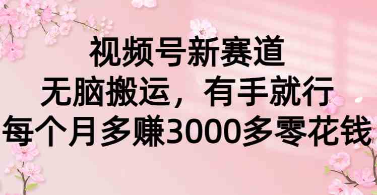 视频号新赛道，无脑搬运，有手就行，每个月多赚3000多零花钱-创客项目库