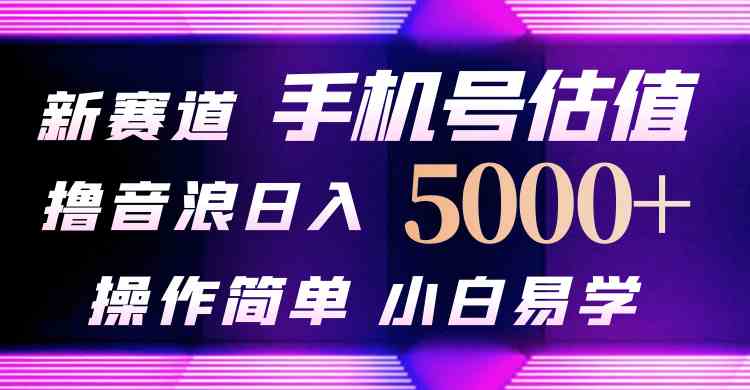 抖音不出境直播【手机号估值】最新撸音浪，日入5000+，简单易学，适合…-创客项目库