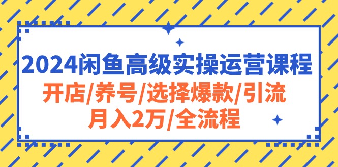 2024闲鱼高级实操运营课程：开店/养号/选择爆款/引流/月入2万/全流程-创客项目库