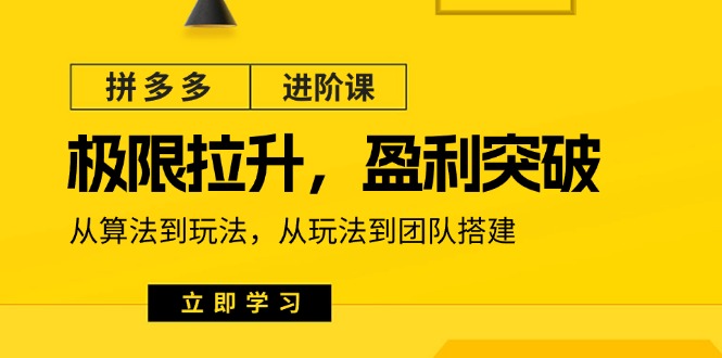 拼多多·进阶课：极限拉升/盈利突破：从算法到玩法 从玩法到团队搭建-18节-创客项目库