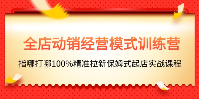 全店动销-经营模式训练营，指哪打哪100%精准拉新保姆式起店实战课程-创客项目库