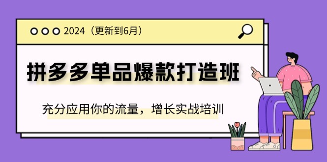 2024拼多多-单品爆款打造班(更新6月)，充分应用你的流量，增长实战培训-创客项目库