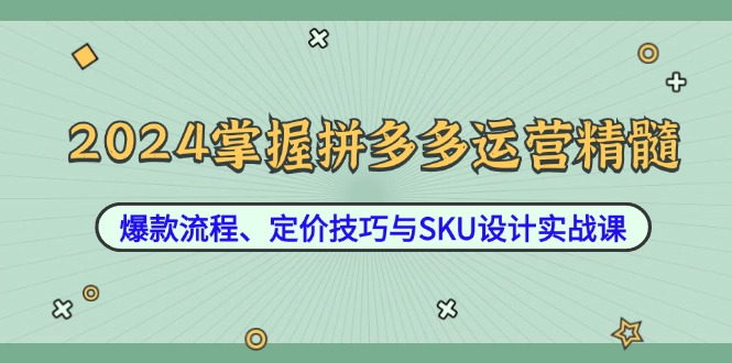 2024掌握拼多多运营精髓：爆款流程、定价技巧与SKU设计实战课-创客项目库