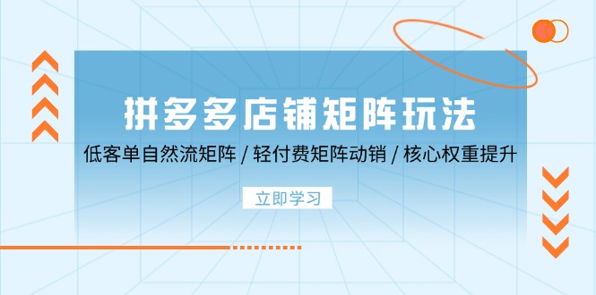 拼多多店铺矩阵玩法：低客单自然流矩阵 / 轻付费矩阵 动销 / 核心权重提升-创客项目库