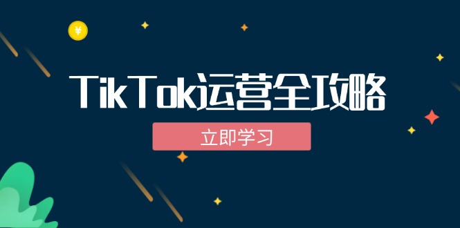 TikTok实战运营全攻略：从下载软件到变现，抖音海外版实操教程-创客项目库