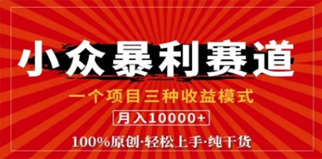 视频号最新爆火赛道，三种可收益模式，0粉新号条条原创条条热门 日入1000+-创客项目库