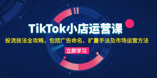 TikTok小店运营课：投流技法全攻略，包括广告命名 扩量手法及市场运营方法-创客项目库