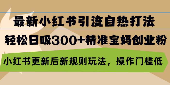 最新小红书引流自热打法，轻松日吸300+精准宝妈创业粉，小红书更新后新…-创客项目库