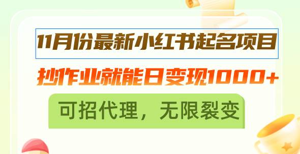 11月份最新小红书起名项目，抄作业就能日变现1000+，可招代理，无限裂变-创客项目库