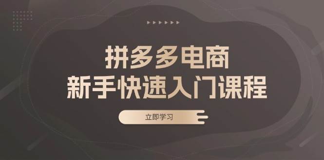 拼多多电商新手快速入门课程：涵盖基础、实战与选款，助力小白轻松上手-创客项目库