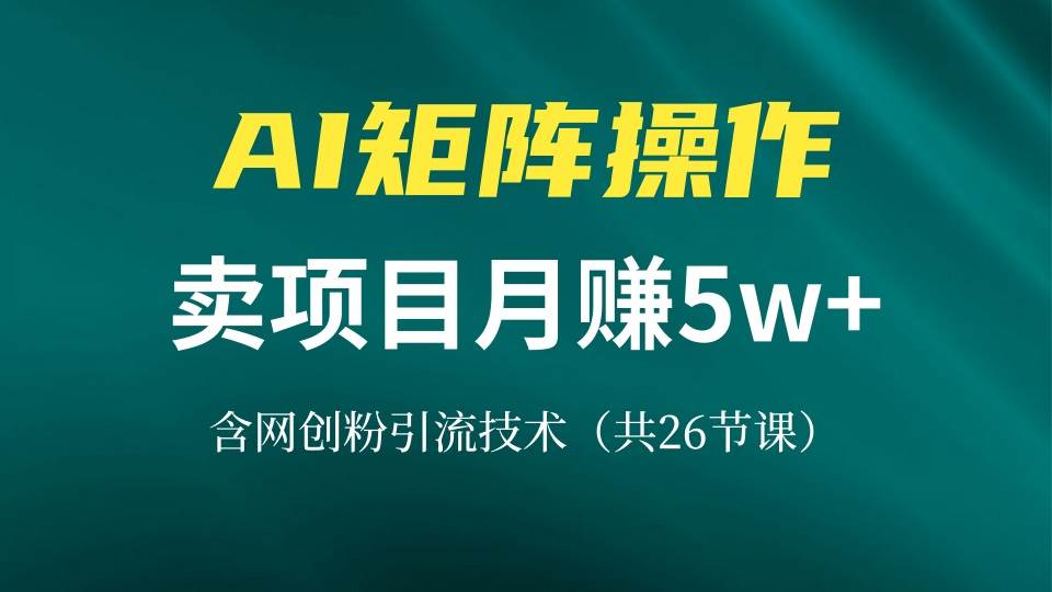 网创IP打造课，借助AI卖项目月赚5万+，含引流技术（共26节课）-创客项目库