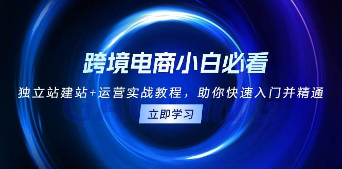 跨境电商小白必看！独立站建站+运营实战教程，助你快速入门并精通-创客项目库