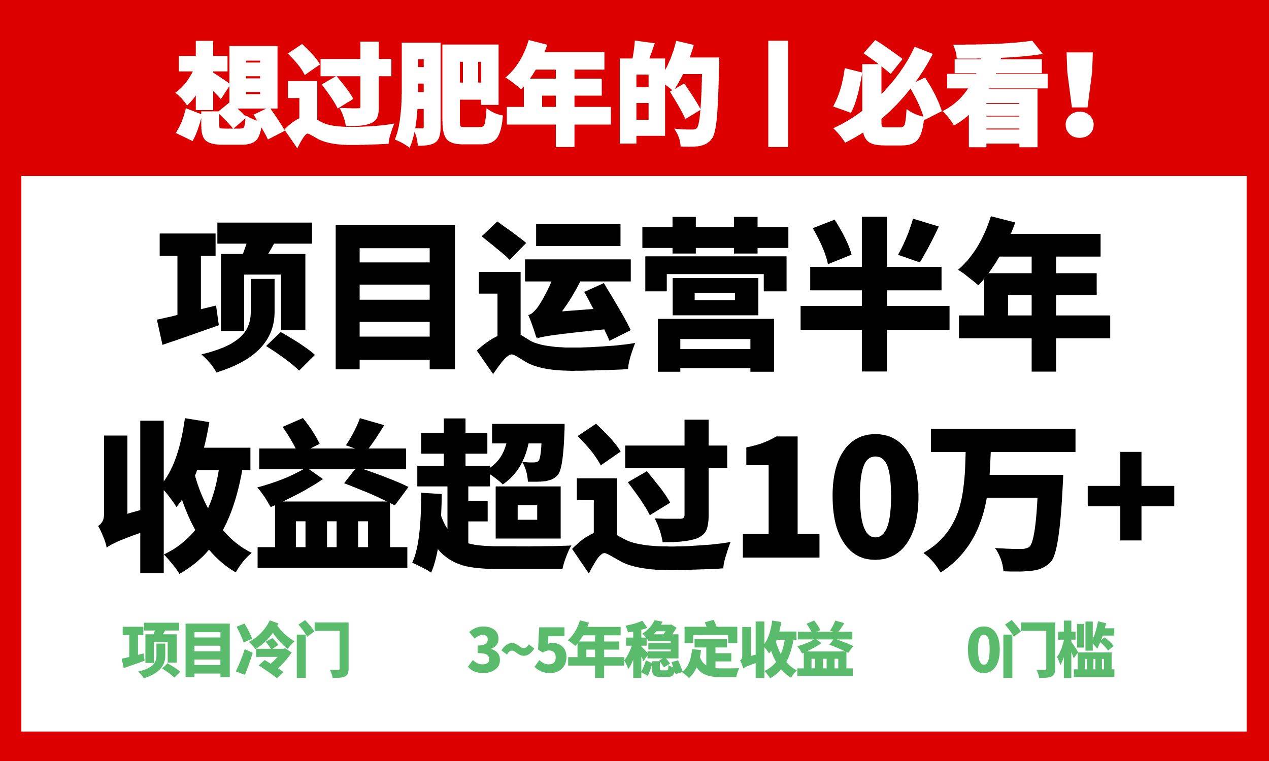 年前过肥年的必看的超冷门项目，半年收益超过10万+，-创客项目库